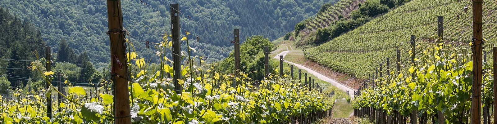 CENTURY 21 Ahrtal Immobilien