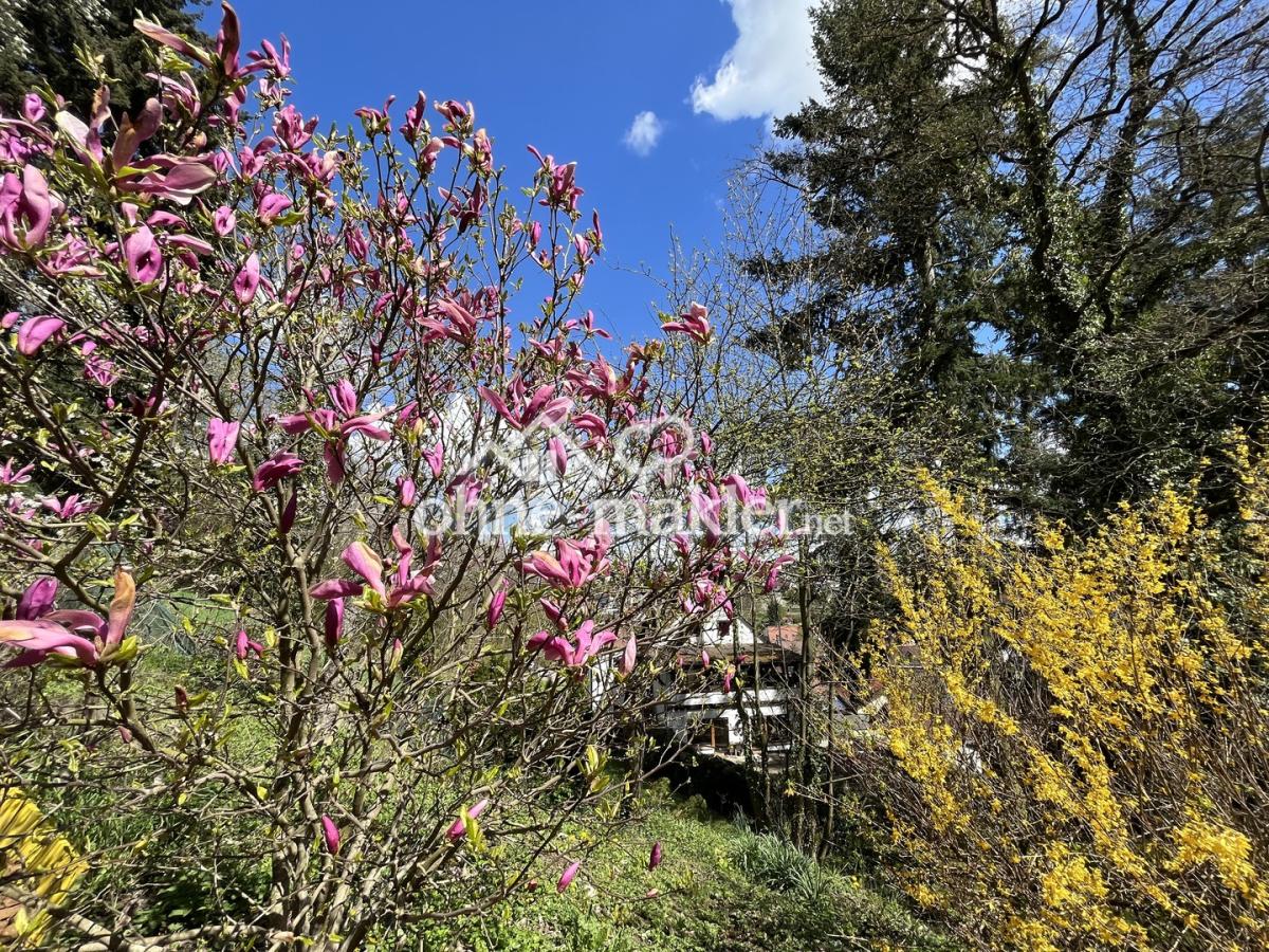 Gartenimpressionen