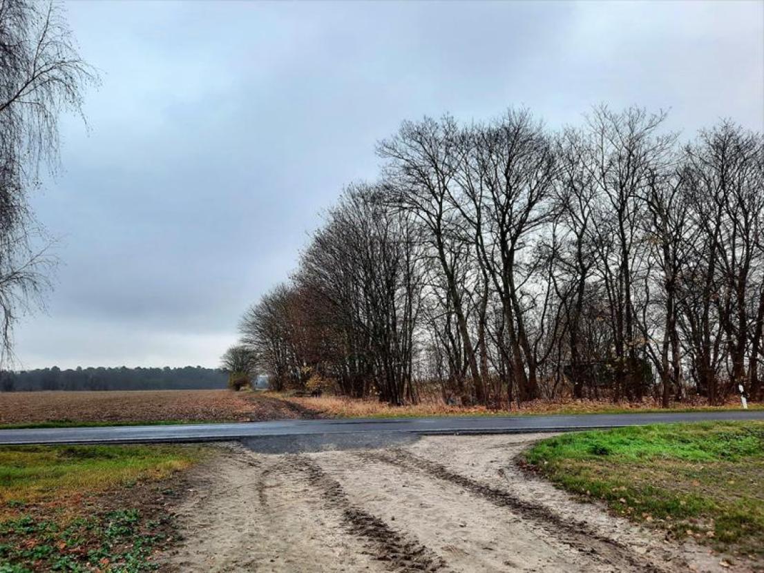 Entwicklungsland mit Landstrasse
