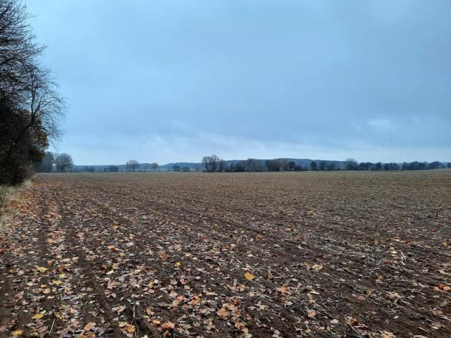 Entwicklungsland kleinerer Teil