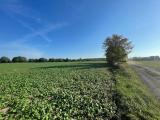 image1 (11)