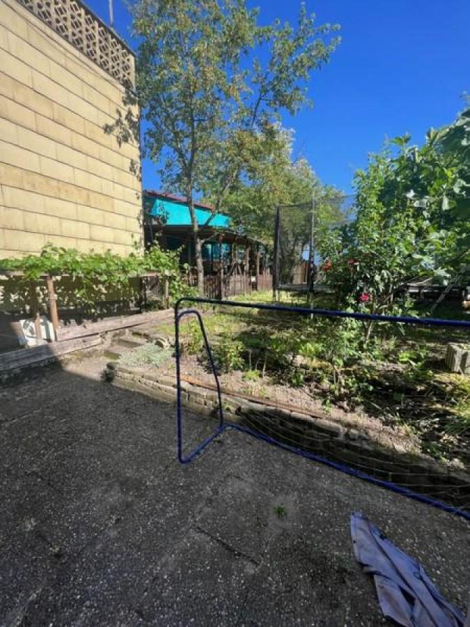 3 Garten mit Pool
