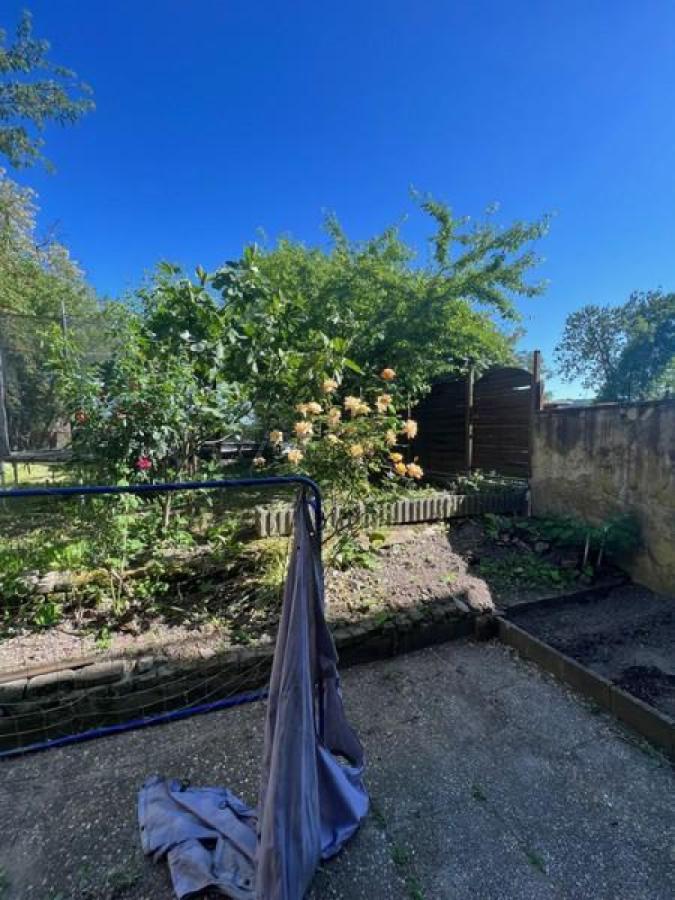 7 Garten
