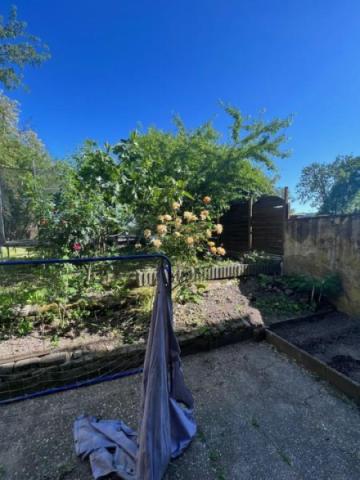 7 Garten