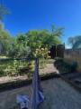 7 Garten