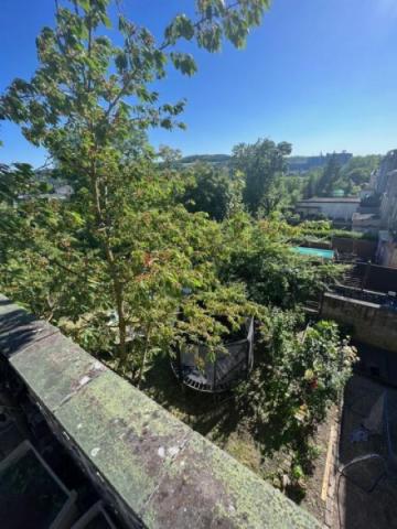 24 WE3 OG Blick von Terrasse zum Garten