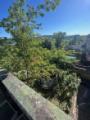 24 WE3 OG Blick von Terrasse zum Garten