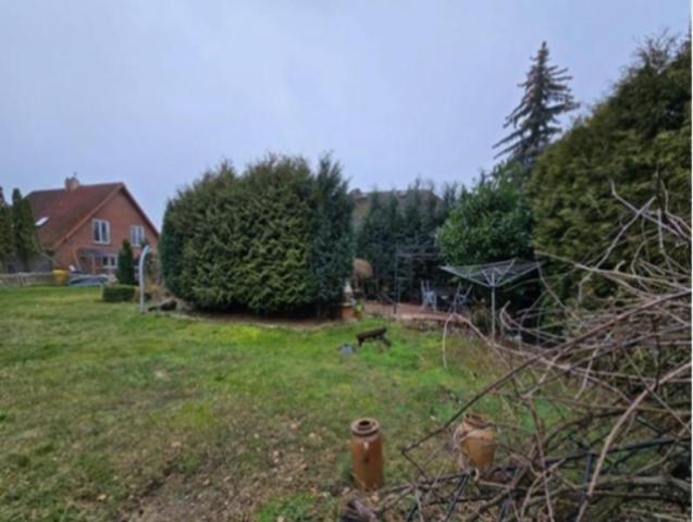 Grundstück hinterer Teil 2