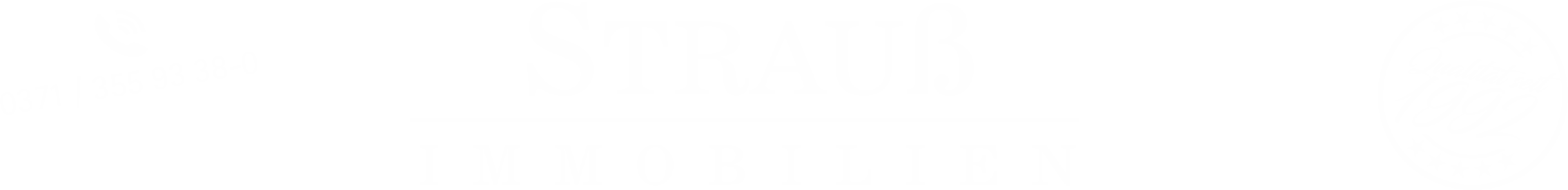 Strauß Immobilien Logo