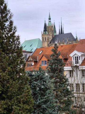 Domblick