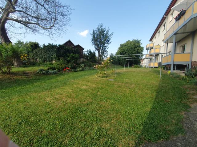 Gemeinschaftsgarten