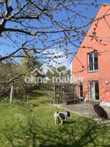 Südseite mit Garten