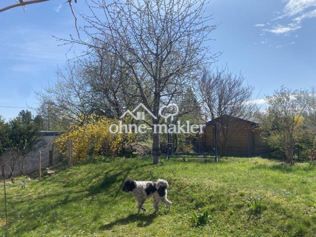 Garten mit Elsa