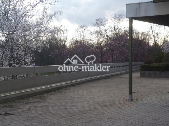 Umgebung