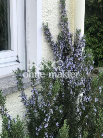 Gartenimpressionen