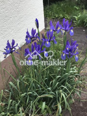 Gartenimpressionen
