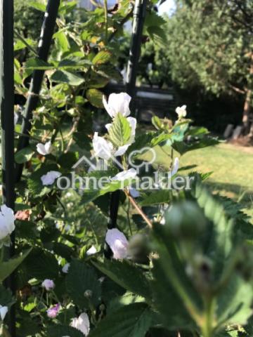 Gartenimperssionen