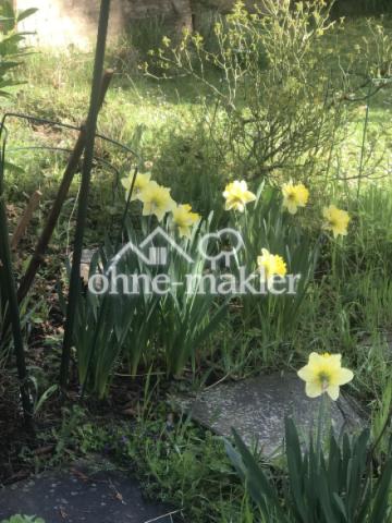 Gartenimpressionen