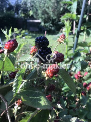 Gartenimpressionen