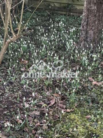 Gartenimpressionen