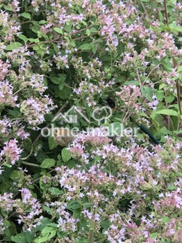 Gartenimpressionen