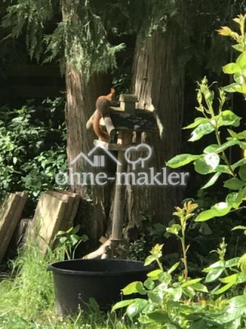Besuch im Garten