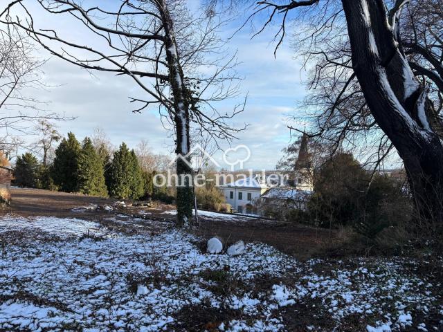 Blick aufs Schloss