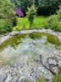 Teich
