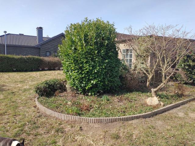Garten 5