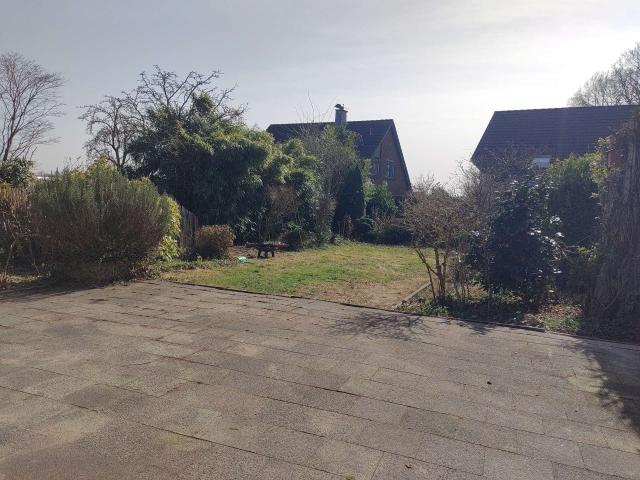 Garten 2