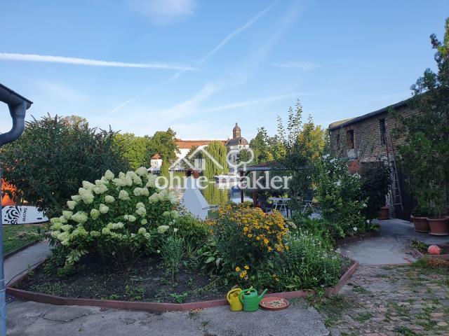 Blick in den Garten