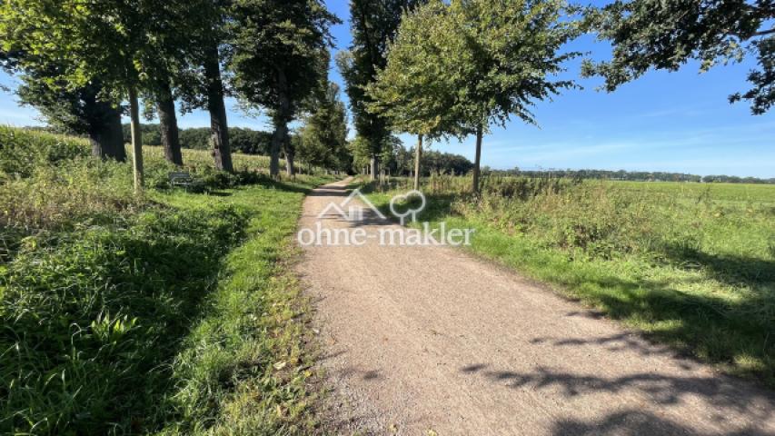 Spazierwege in direkter Nähe 