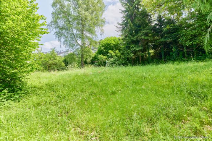 Ein über 3.000 m² großes Grundstück