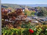 Blick von Terrasse