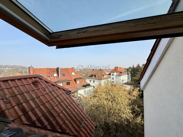 Domblick 