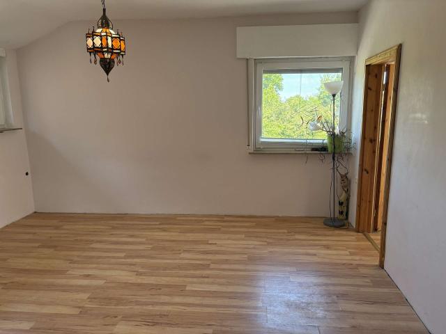 Zimmer DG