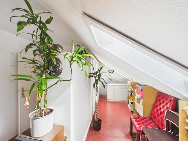 Zimmer DG