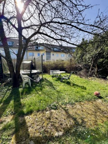 Blick in den Garten 