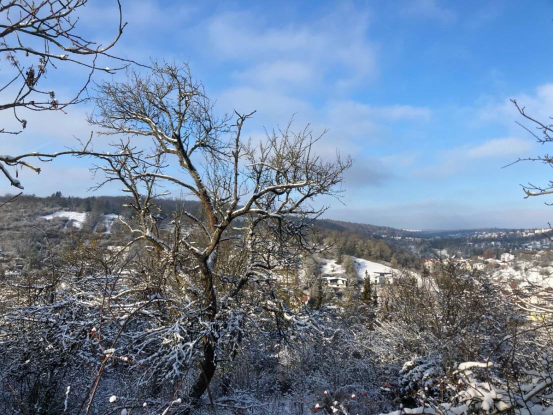 Winterimpressionen: Grundstück und Ausblick