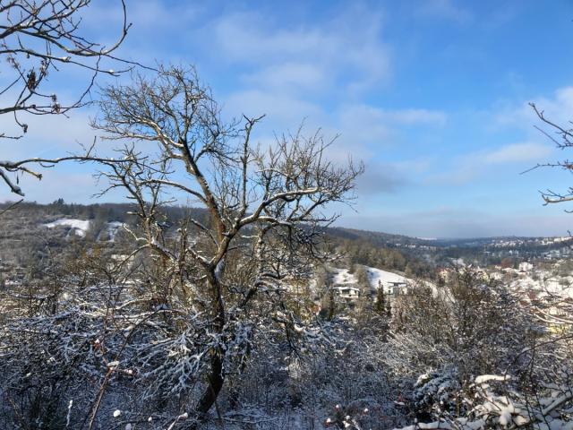 Winterimpressionen: Grundstück und Ausblick