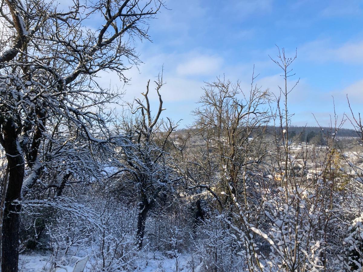 Winterimpressionen: Grundstück und Ausblick