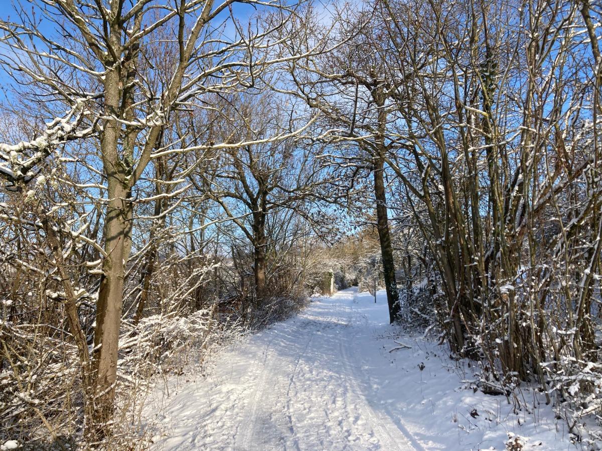Winterimpressionen: Zufahrtsweg oberhalb des Grundstücks