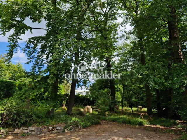 Grundstück Blick Osten