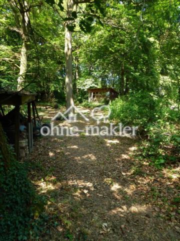 Blick aufs Gartenhaus