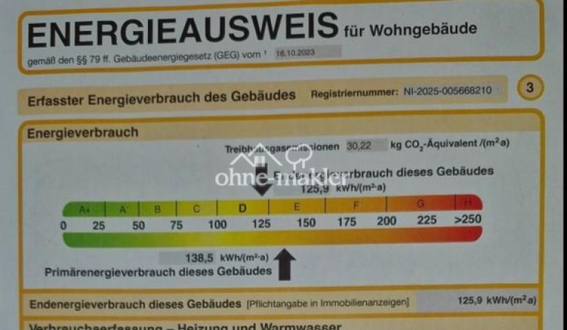 Auszug Energieausweis