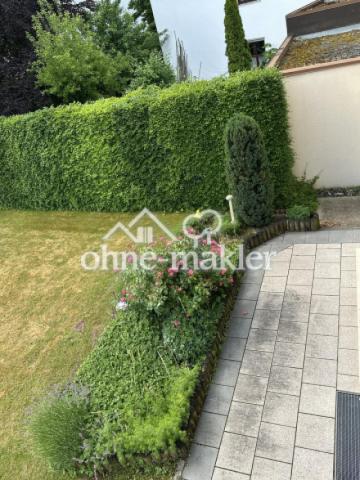 Blick vom Haus ins Grüne