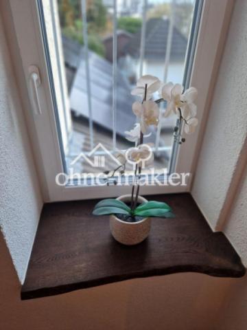 Blick in den Innenhof