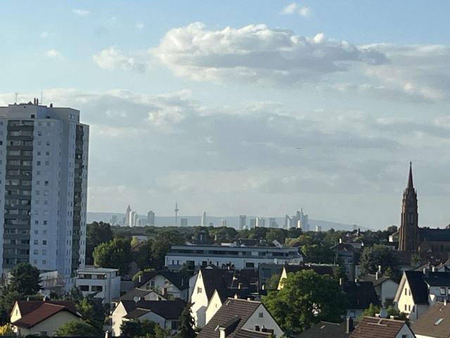 Blick pur