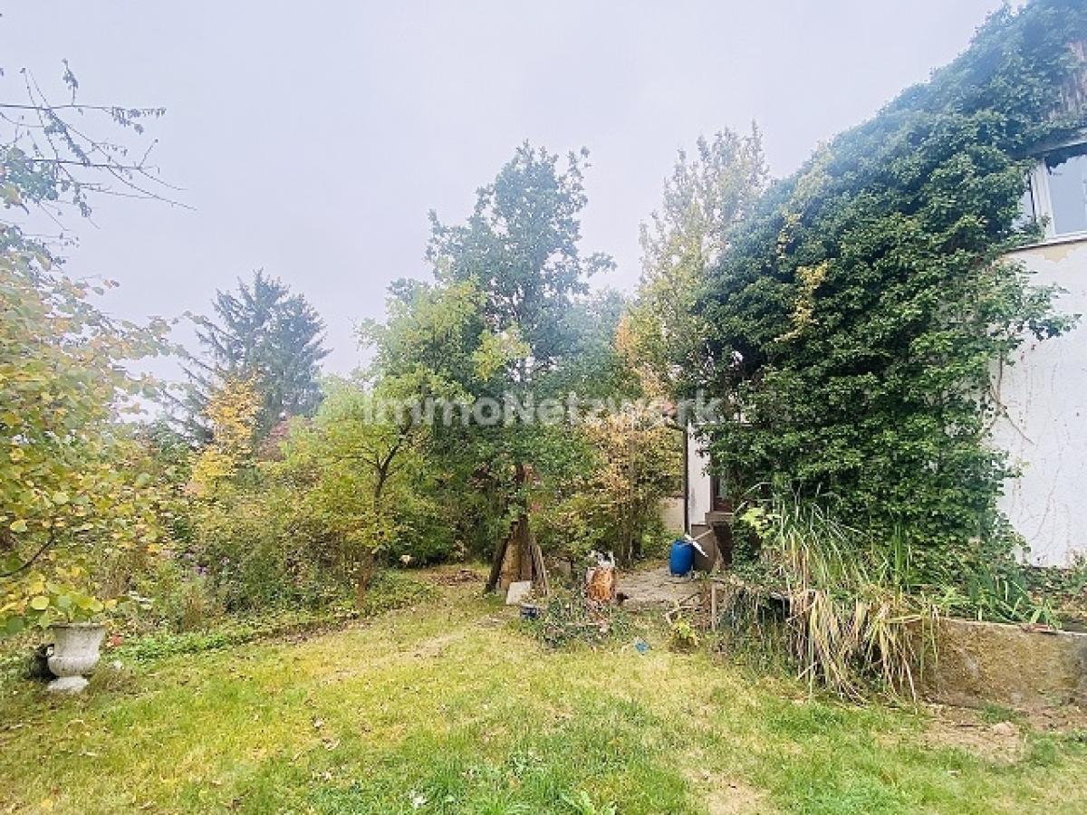 Garten 1