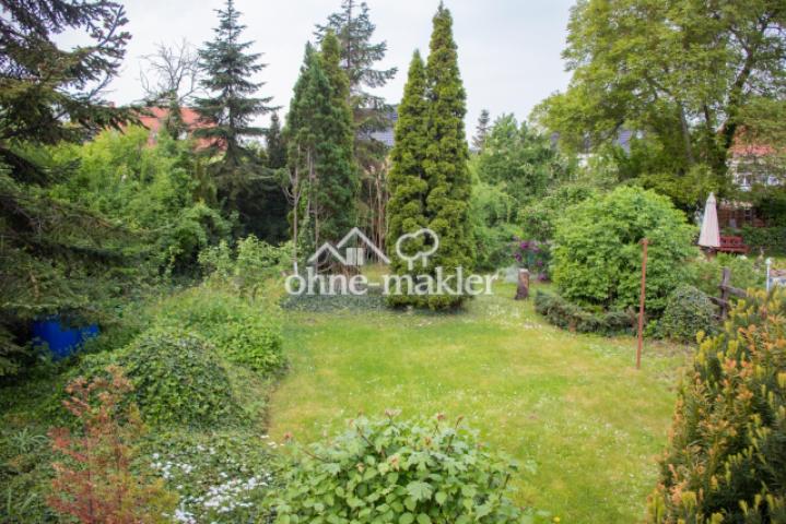 Blick in den Garten